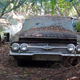 Illustration for article titled Old Car City USA: The Oppositelock Review and Photographic Journey